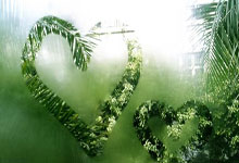 中国足球网比分直播好用吗？怎么看最便捷？